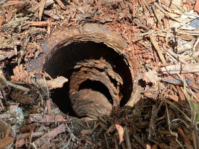 Sewer Line Inspection