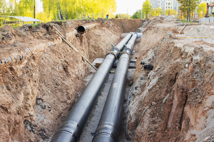 How Tree Roots Impact Your Sewer Line Plumbing and How to Fix It